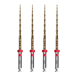 Limas Mecanizadas NiTi Expert Gold Endoart N° R25 Incidental