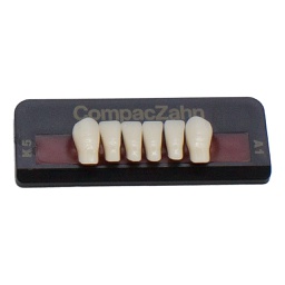 Tableta de Dientes Acrílicos K5 Lower CompacZahn Incidental
