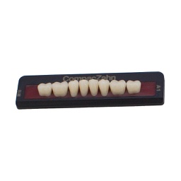Tableta de Dientes Acrílicos M1 Lower CompacZahn Incidental