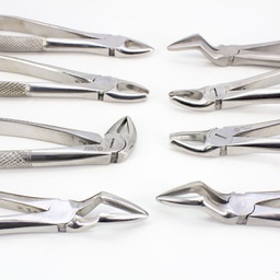 Forceps acero Adulto Machtig